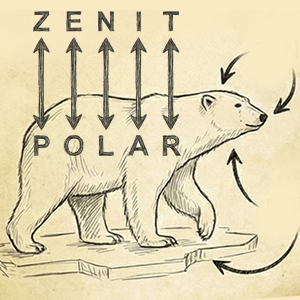ZENIT POLAR