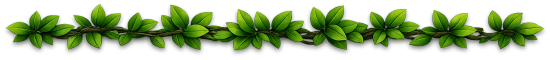 line_divider2